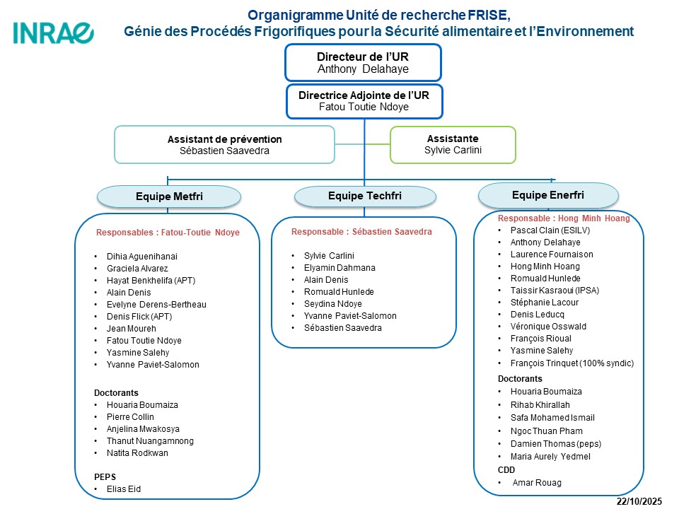 Organigramme de Frise Organigramme de Frise