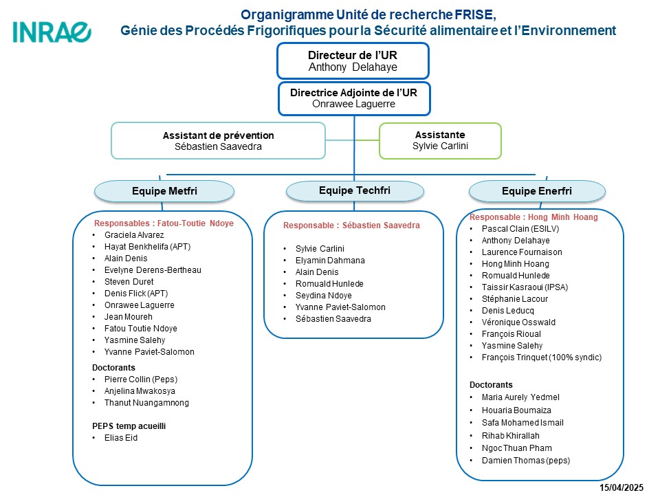organigramme_04.02.2025UR_FRISE.jpg